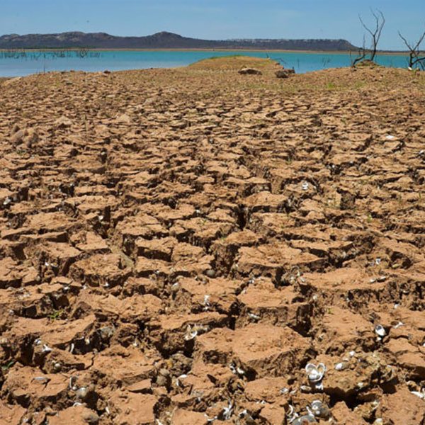 Perubahan Iklim Mengancam Ketahanan Pangan Global: Tindakan Cepat Diperlukan